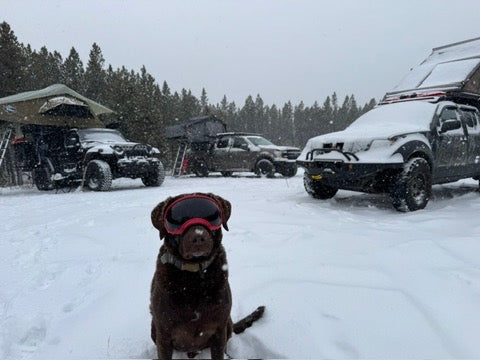 Medical Considerations in Overlanding