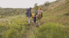 A man, woman, small child and their dog enjoy a back packing trip through a hilly meadow.